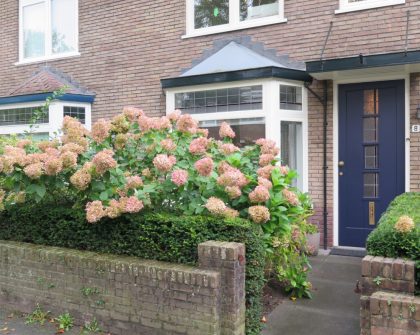 appartementen te huur op van Gaverenlaan