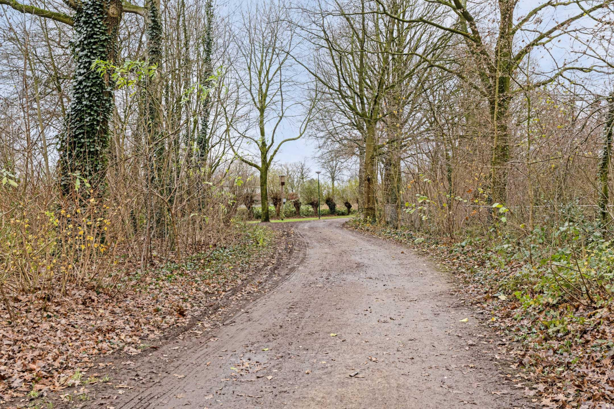 Image 16
