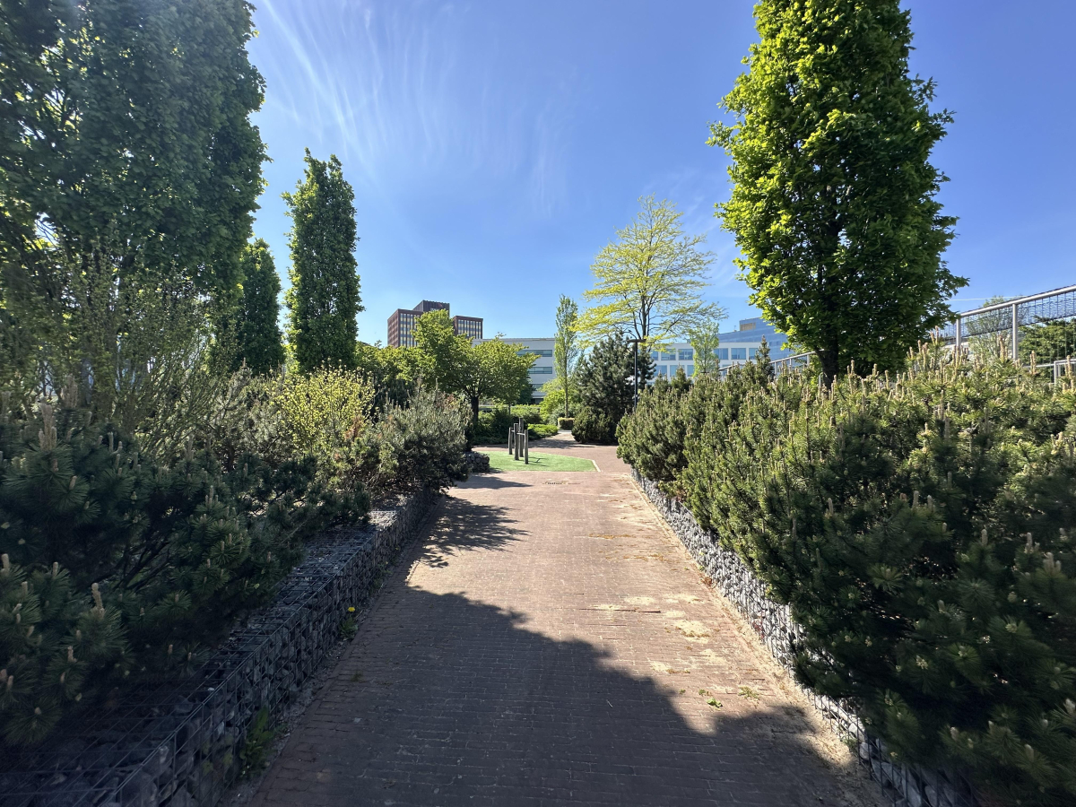 Image 40