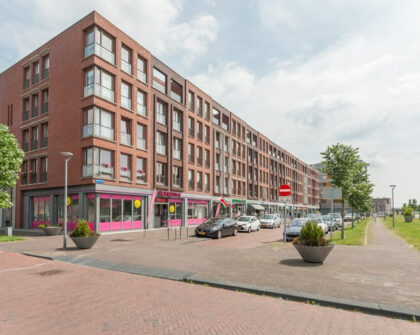apartments for rent on Belgiëstraat
