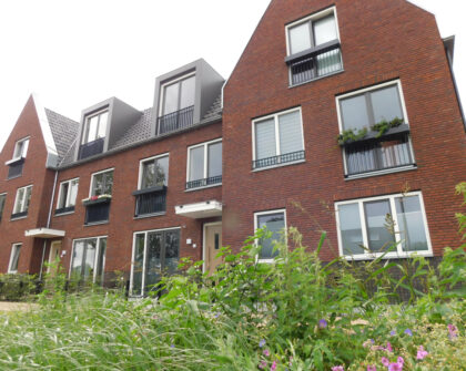 homes for rent on Meerlaan