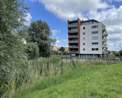 vrije-sector-woningen te huur op Lobeliuslaan
