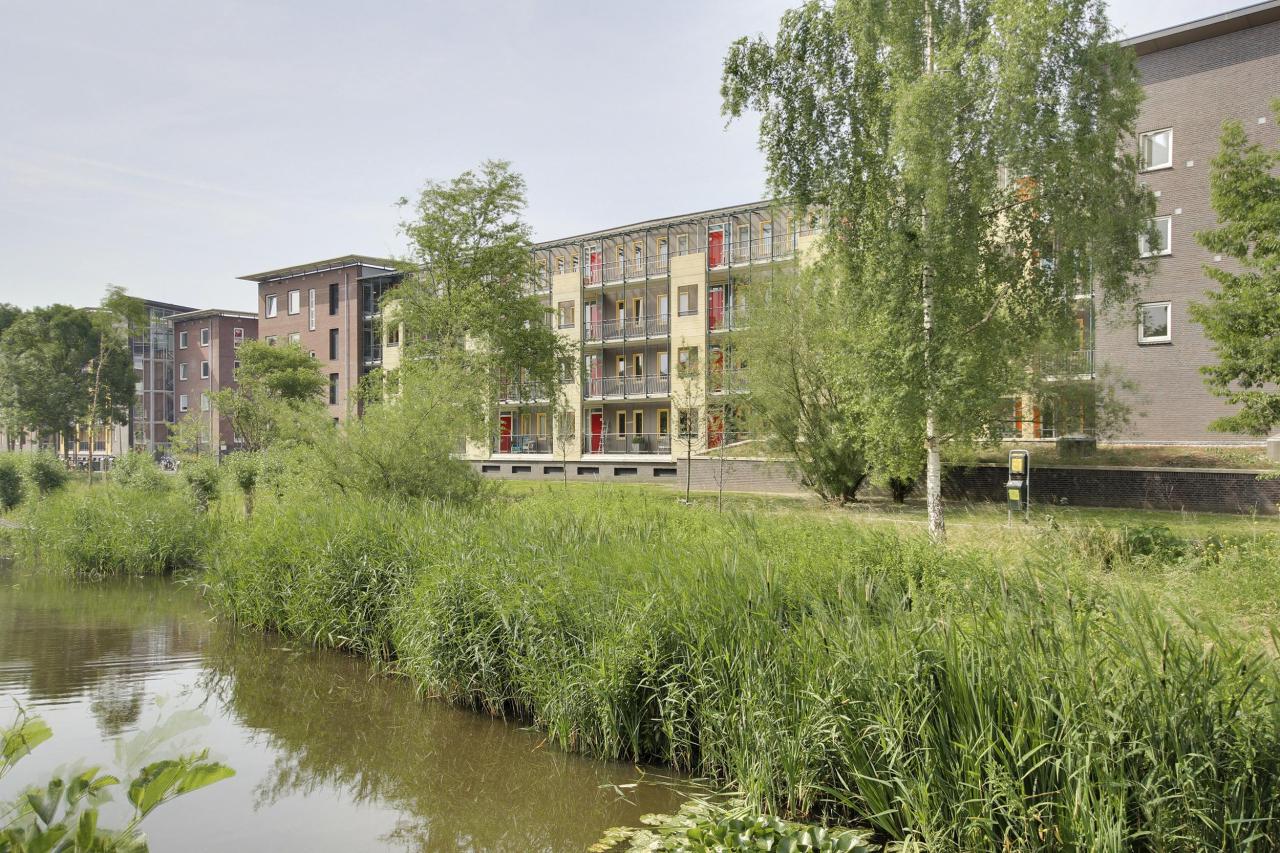Apartment in Amsterdam